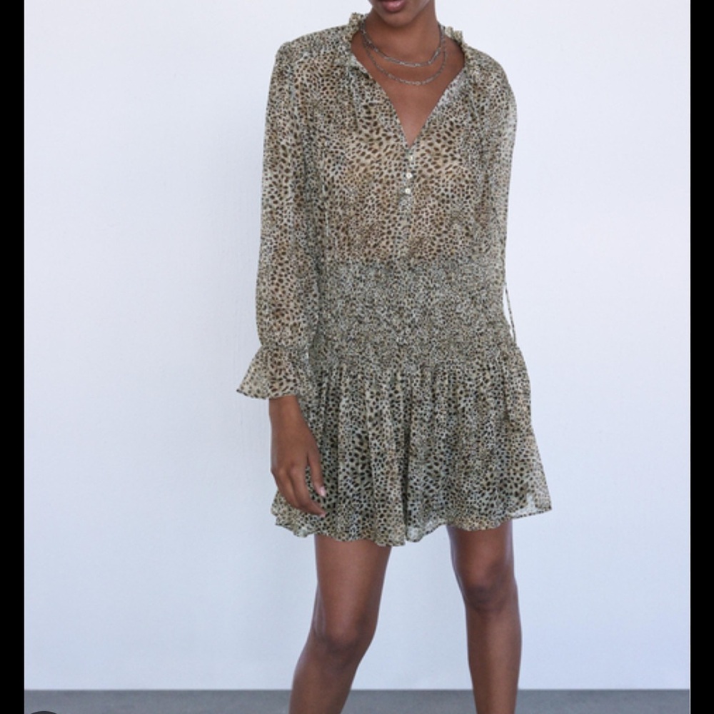 Zara Leopard Print Chiffon Dress